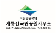 그림입니다.